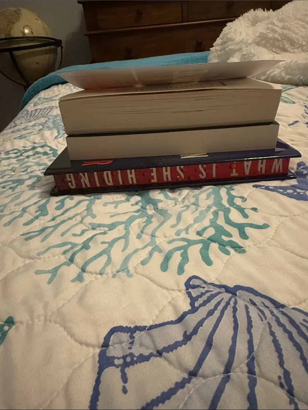 3 Freida McFadden Books Bundle 📚